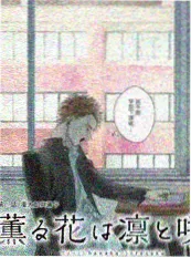 韩国综艺 三清洞的猫 高清封面